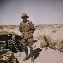 This weeks Restocked items 10/15/2021