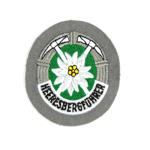 Heeresbergführer Patch