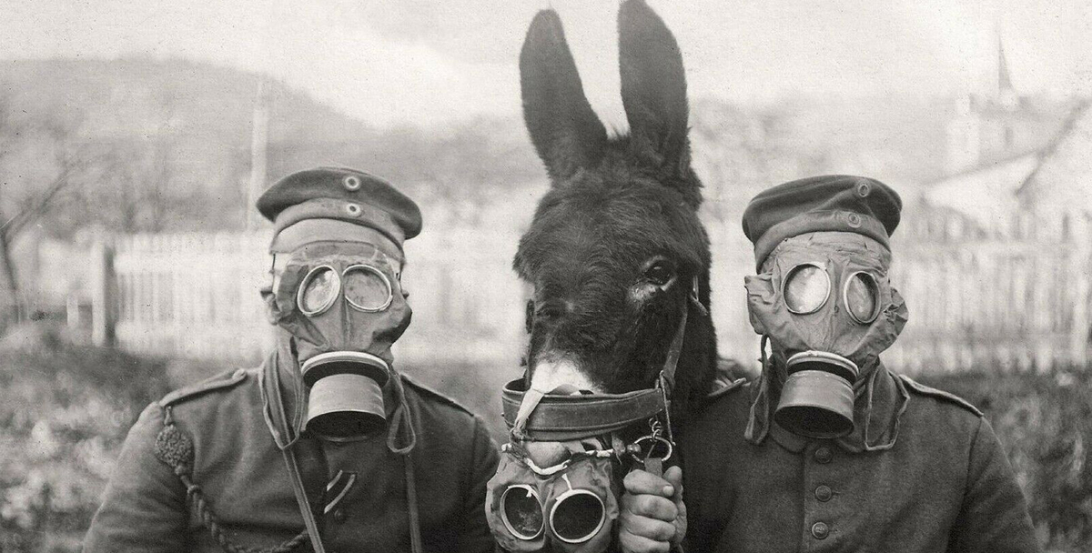 WW1 German Gas Mask - Epic Militaria