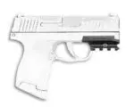 Sig Sauer P365