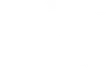 Holster Logo