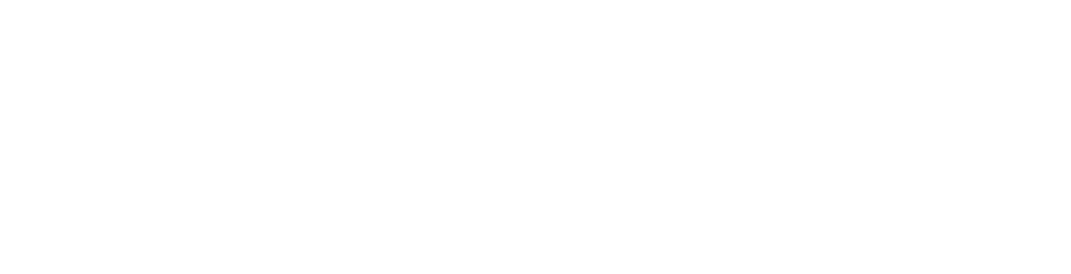 P-IX Logo