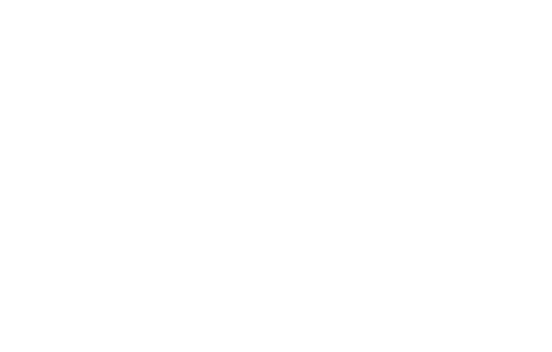 Holster Logo