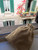 Velvet pouch for safe-keeping and travel. A free $35 value! Velvet pouch for safe-keeping and travel. A free $35 value!