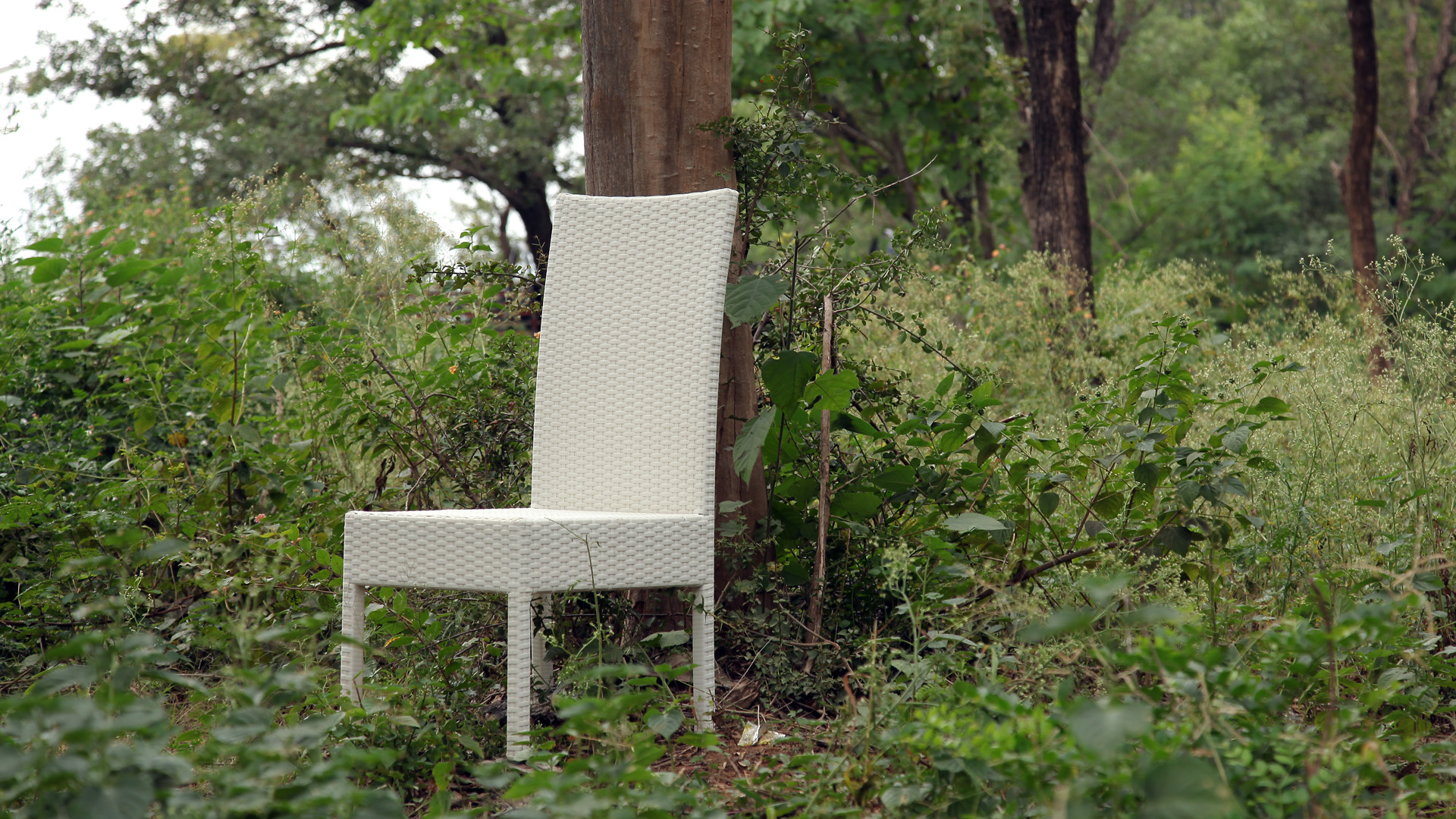 WHAT IS RATTAN FURNITURE? Baahir Outdoor Living