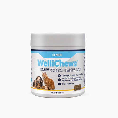 Wellichews Senior Perro/Gato