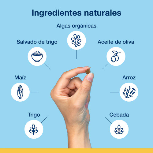 Bites Gato (60g) Bites Gato (60g)