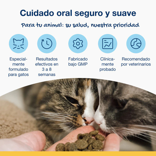 Bites Gato (60g) Bites Gato (60g)