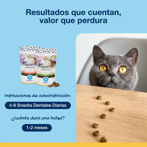 Bites Gato (60g) Bites Gato (60g)