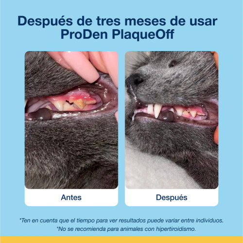 Bites Gato (60g) Bites Gato (60g)