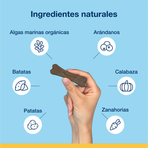 Mini Bones Arándanos (340g)