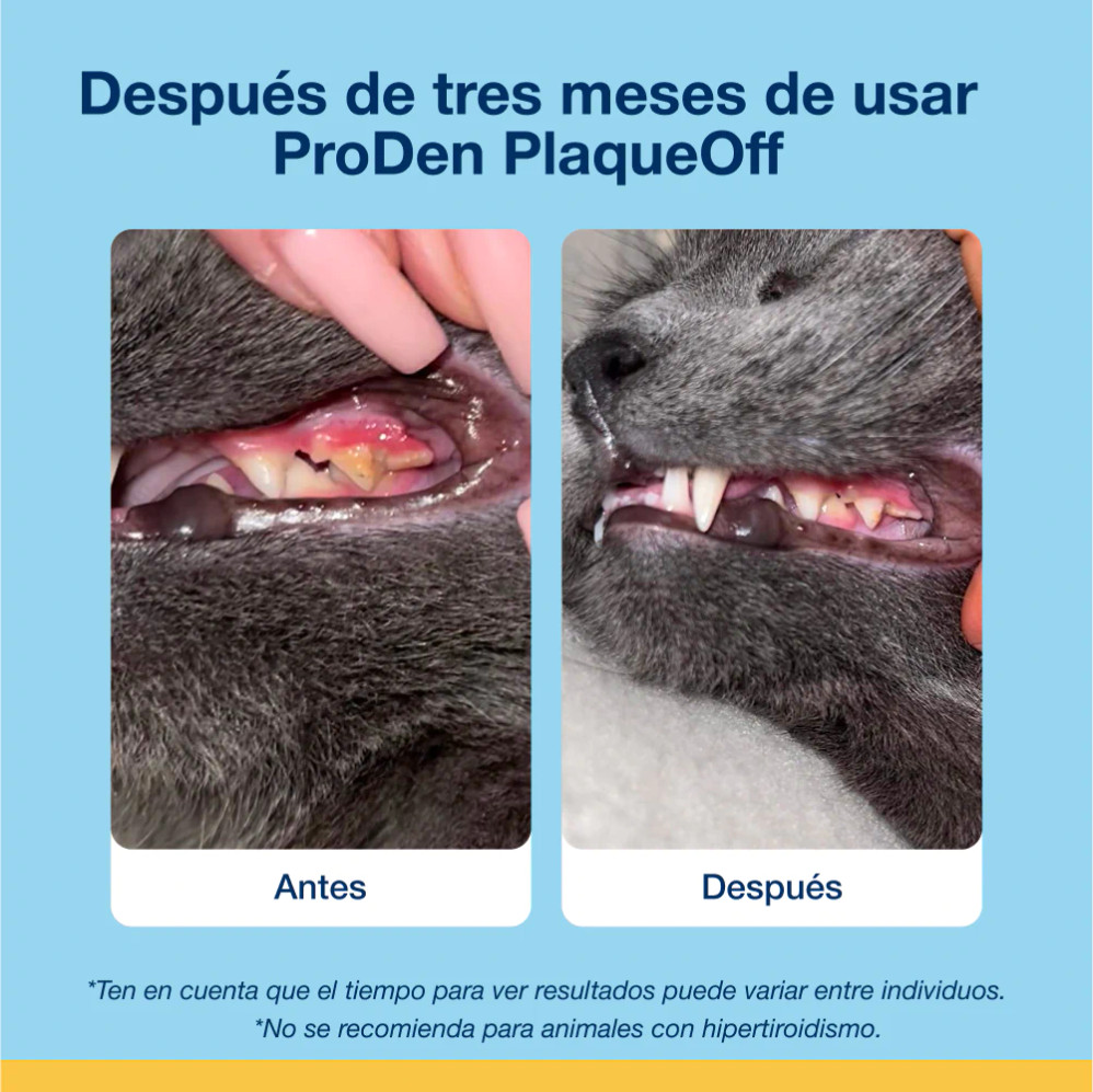 Bites Gato (60g) Bites Gato (60g)