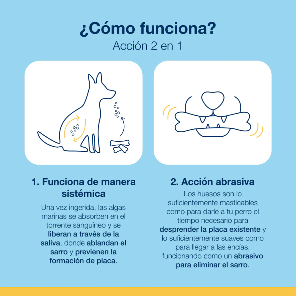 Mini Bones Arándanos (340g)