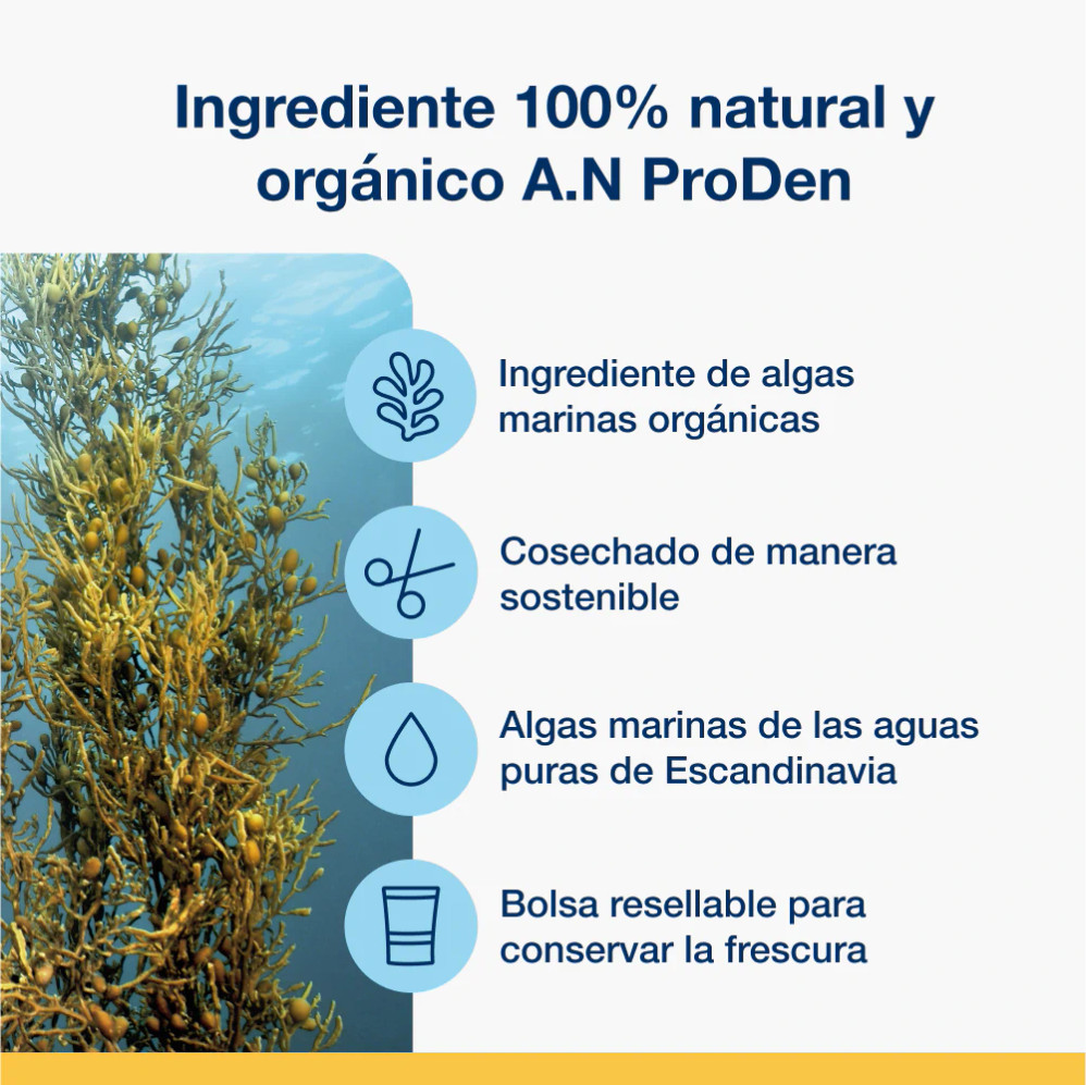 Mini Bones Arándanos (340g)