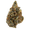 Discover Future Haze THCa Flower, a potent Sativa with 40-44% THCa and 38-40% THC. Enjoy uplifting euphoria, creativity, and a soothing body buzz. Perfect for daytime use with a pungent, citrusy, earthy aroma.