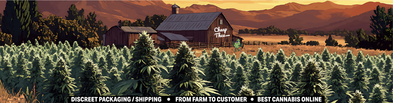 THCA, THCA products, cheap THCA, federally legal THCA, 2018 Farm Bill, hemp-derived THCA, non-psychoactive cannabinoid, buy THCA online, THCA legality, affordable THCA, hemp products, THCA compliance, delta-9 THC, THCA market, legal hemp products