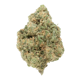 Shop Maui Wowie flower, a classic sativa with sweet pineapple flavors and uplifting euphoria. Select Quantity in Grams for a tropical, stress-relieving high!