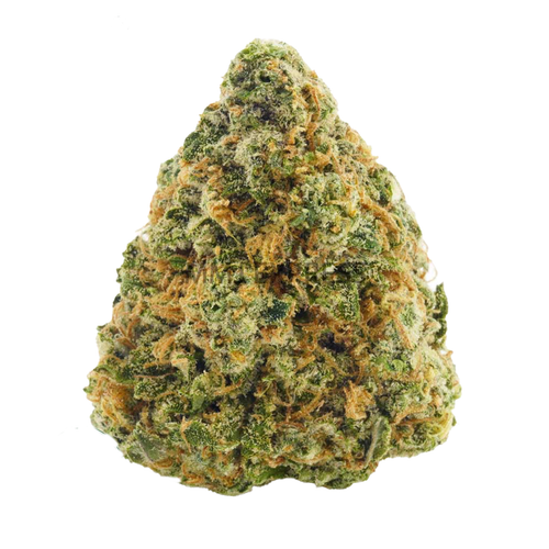 Discover Sour Berry OG flower, a potent indica-dominant hybrid with 27–31% THC. Enjoy its sweet vanilla apple cake flavor, frosty purple buds, and balanced euphoria with deep relaxation. Ideal for stress, pain, and mood enhancement. Learn about its genetics, effects, and cultivation tips.