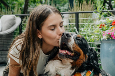 Sample Post 12 - Why Dogs Bite and Destroy Furniture and How to Prevent It Effectively - Pet Sample Post 12 - Why Dogs Bite and Destroy Furniture and How to Prevent It Effectively - Pet