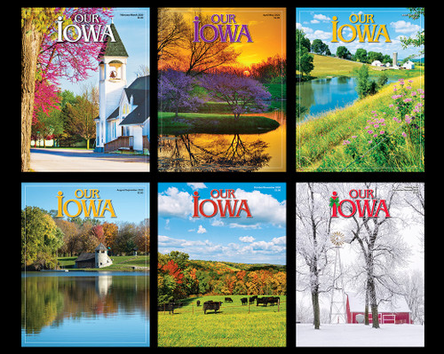 Set of 2020 Back Issues