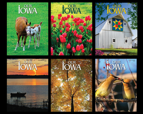 Set of 2011 Back Issues