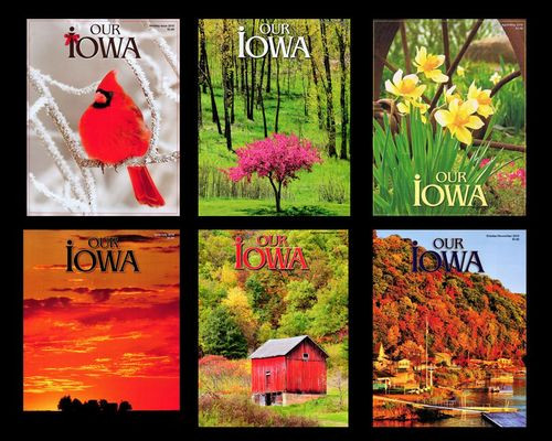 Set of 2010 Back Issues