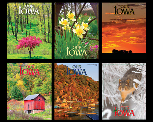 Set of 2010 Back Issues
