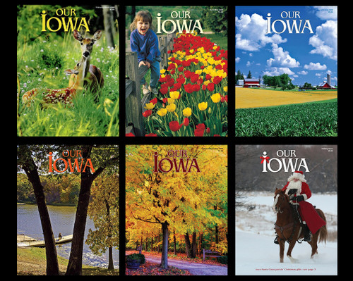 Set of 2008 Back Issues