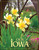 2010 April/May
