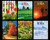 Set of 2015 Back Issues