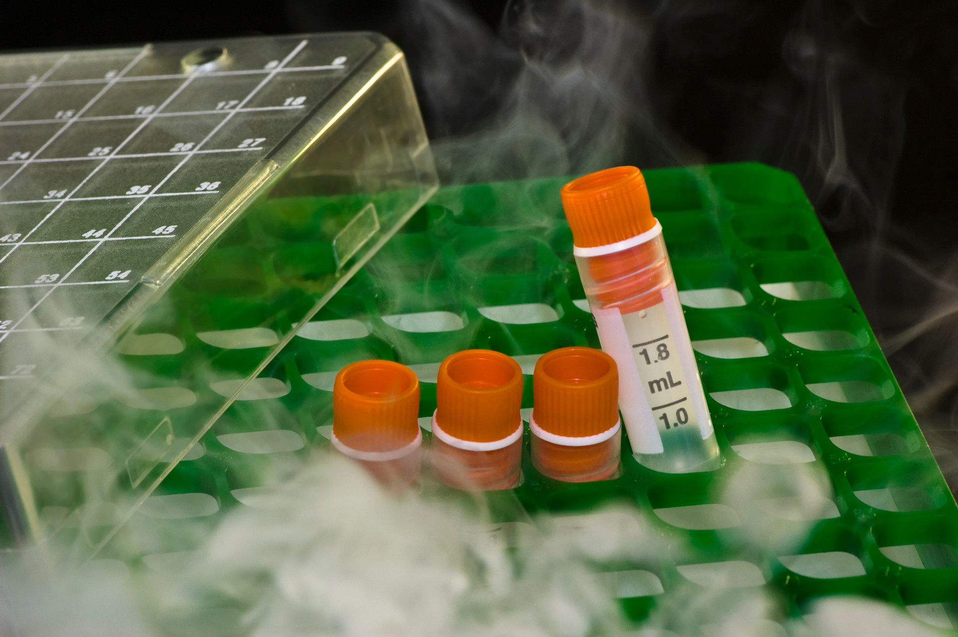 ISBER’s Best Practices for Cryogenic Storage of Samples and Biobanks ...