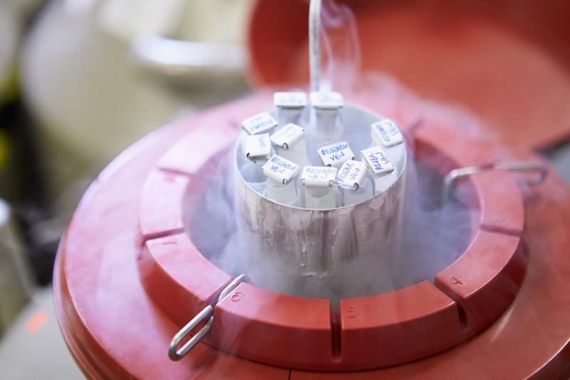 Mastering Cryogenic Labeling: Ensuring Sample Integrity in Ultra-Low Temperatures