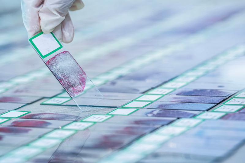 The Complete Guide to Microscope Slide Labeling