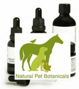 Bladder Comfort & Balance Support – Set of 2