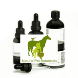 Adrenal glands (Hypo-Adrenocorticism)  Set of 9