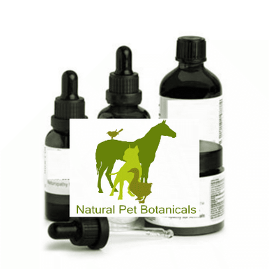 Viral Lungs & Respiratory Tract - Set of 3. (Members Only) - Natural ...