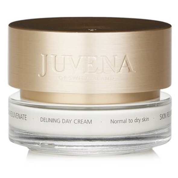 Rejuvenate &amp; Correct Delining Day Cream - Normal to Dry Skin