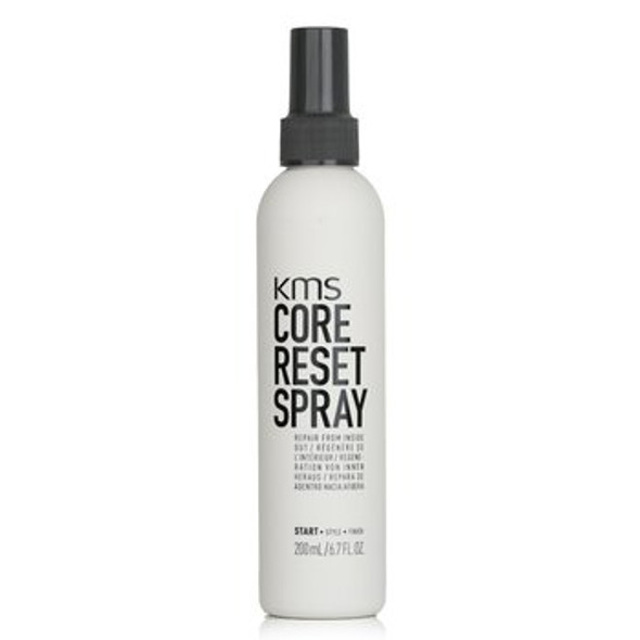 Core Reset Spray (Repair From Inside Out)