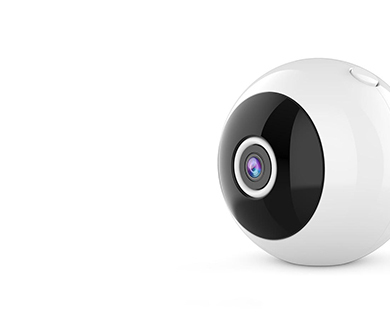 Warranties & Services