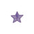 6th Grade Purple Star