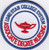 ADN  (RN) - Associate Degree Nursing  Patch (Lone Star College)