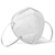 KN95  Face Masks (Pack  Of 10Pieces )