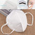 KN95  Face Masks (Pack  Of 10Pieces )