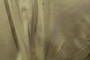 Vintage Chester Barrie Savile Row 42" Pure Cashmere Camel Brown Jacket