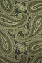 Mens Green Marco Polo Green Paisley Gents Elegant Scarf