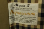 Vintage Aquascutum Beige 42R Belted Designer Smart Gents Aqua 5 Trench Coat