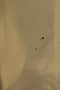 Per Una Womens Beige Brown Mix Size 14 Check Blend M&S Coat