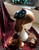 Hanmade Steampunk Alice Tea Party Cheshire Cat Headdress