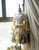 Co-ordinate Show under natural sunlight (Ivory + Gold Ivory Mixed Lace Ver.)
(dress: DR00170N, petticoat: UN00026)