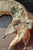 Detail View (Cream + Pale Mint Version)